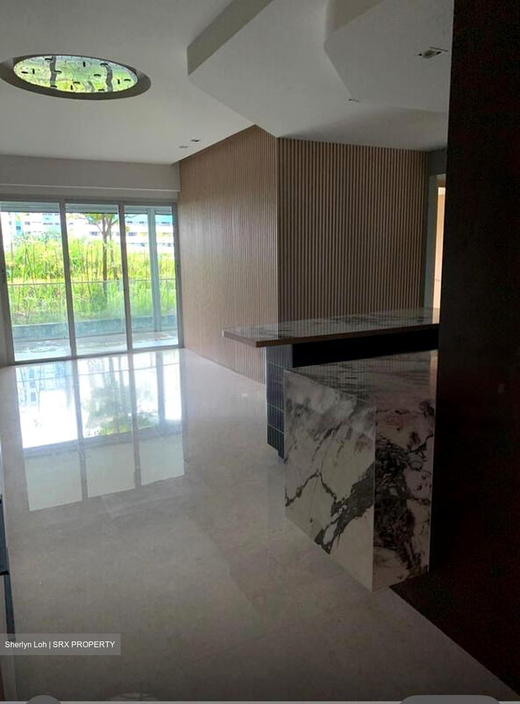 Eight Riversuites (D12), Condominium #476102771